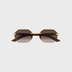 Cartier CT0439S Man Wood Sunglasses - Gold / Yellow / Brown